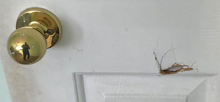 interior door hole repair South San Francisco